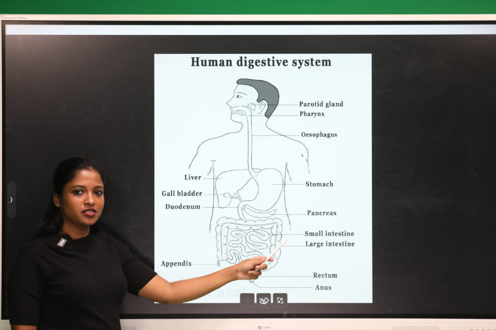 ऑर्किड्स द इंटरनेशनल स्कूल ने लॉन्च की ‘बोर्ड एग्ज़ाम स्मार्ट प्रेप सीरीज़- छात्रों की सीबीएसई परीक्षा की तैयारी में होगी मददगार