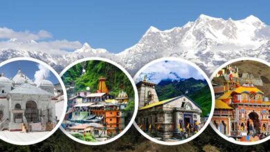 चारधाम यात्रा में भीड़ मैनेजमेंट के लिए सात जिलों में बनाए गए 68 हॉल्टिंग प्वाइंट
