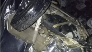 कार खाई में गिरी, पांच लोगों की मौत