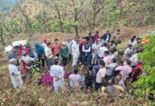 खाई में गिरी बरातियों की बोलेरो, 3 लोगों की मौत, 4 घायल