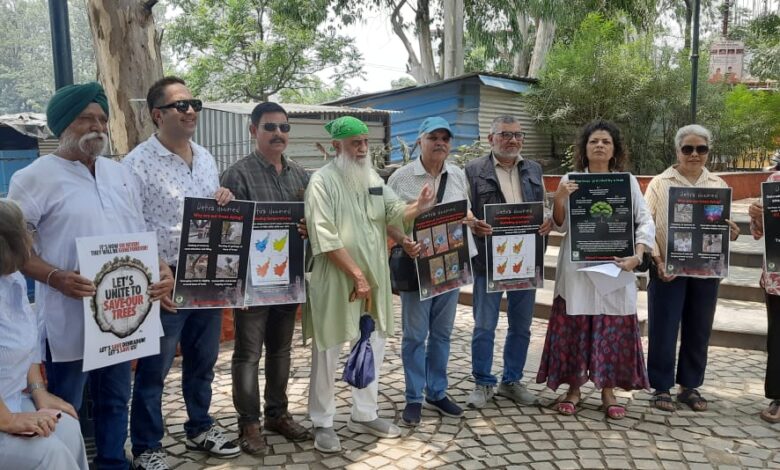 CFGD ने दुखद जीवन हानि पर शोक व्यक्त किया तथा शहरी वृक्षों की सुरक्षा के लिए कार्रवाई का आग्रह किया CFGD ने दुखद जीवन हानि पर शोक व्यक्त किया तथा शहरी वृक्षों की सुरक्षा के लिए कार्रवाई का आग्रह किया