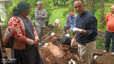 बेरीनाग के उडियारी गांव में बज्रपात, कई जानवर झुलसे