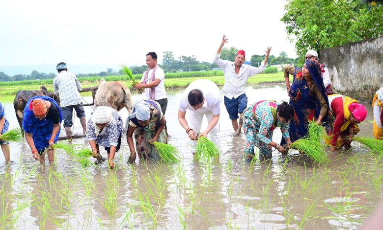 सीएम धामी ने खटीमा में की धान रोपाई, किसानों के श्रम को किया नमन