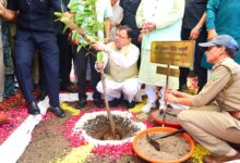 हरेला पर्व पर राज्यव्यापी पौधारोपण कार्यक्रम में मुख्यमंत्री ने रोपा रुद्राक्ष का पौधा हरेला पर्व पर राज्यव्यापी पौधारोपण कार्यक्रम में मुख्यमंत्री ने रोपा रुद्राक्ष का पौधा