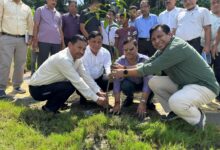 हरेला पर्व पर एमडीडीए की हरित पहल, वृक्षारोपण एवं पौधा वितरण कार्यक्रम का भव्य आयोजन हरेला पर्व पर एमडीडीए की हरित पहल, वृक्षारोपण एवं पौधा वितरण कार्यक्रम का भव्य आयोजन