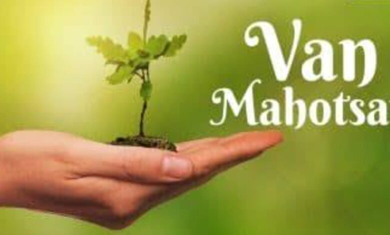 वन महोत्सव 2025 : चंडीगढ़ के लेक क्लब में पौध मेला शुरू वन महोत्सव 2025 : चंडीगढ़ के लेक क्लब में पौध मेला शुरू