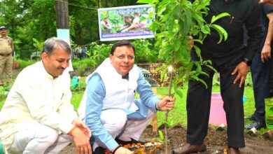 ‘एक पेड़ माँ के नाम’ अभियान के अंतर्गत मुख्यमंत्री ने किया वृक्षारोपण, पर्यावरण संरक्षण का दिया संदेश