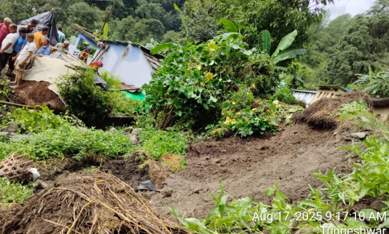 थराली के बेनौली में अतिवृष्टि से गौशाला की दीवार टूटने से हुई तीन मवेशियों की मौत*