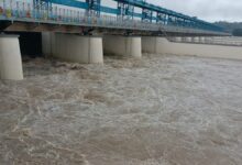 मूसलाधार बारिश से गंगा उफान पर परमार्थ निकेतन-त्रिवेणी घाट डूबे मूसलाधार बारिश से गंगा उफान पर परमार्थ निकेतन-त्रिवेणी घाट डूबे