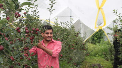 कोका-कोला इंडिया फाउंडेशन ने प्रोजेक्ट उन्नति एप्पल के 7 साल पूरे किए