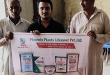 Phoenix Plants Lifesaver Pvt. Ltd. ने मुख्य उर्वरक क्षेत्र में बनाई अपनी एक अनूठी पहचान Phoenix Plants Lifesaver Pvt. Ltd. ने मुख्य उर्वरक क्षेत्र में बनाई अपनी एक अनूठी पहचान
