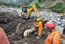 स्निफर डॉग्स की मदद से छेनागाड़ में लापता लोगों की तलाश स्निफर डॉग्स की मदद से छेनागाड़ में लापता लोगों की तलाश