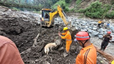 स्निफर डॉग्स की मदद से छेनागाड़ में लापता लोगों की तलाश