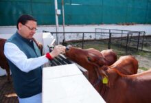 गोवर्धन पूजा प्रकृति संरक्षण, मनुष्यों एवं जानवरों के बीच के प्रेम को दर्शाता है : सीएम