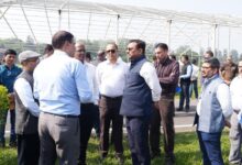 मुख्य सचिव ने एफआरआई देहरादून जाकर 09 नवम्बर को आयोजित होने वाले मुख्य कार्यक्रम की तैयारियों का लिया जायजा मुख्य सचिव ने एफआरआई देहरादून जाकर 09 नवम्बर को आयोजित होने वाले मुख्य कार्यक्रम की तैयारियों का लिया जायजा