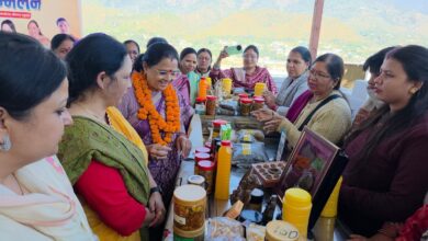 स्वदेशी उत्पादों व महिला उद्यमिता के बढ़ावे से मातृशक्ति के हुनर को मिल रही नई पहचान : कुसुम कण्डवाल