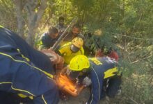 120 मीटर गहरी खाई में गिरे वाहन से SDRF ने घायल को किया सुरक्षित रेस्क्यू 120 मीटर गहरी खाई में गिरे वाहन से SDRF ने घायल को किया सुरक्षित रेस्क्यू