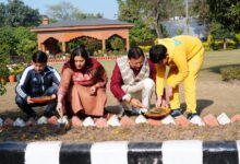 मुख्यमंत्री ने सपरिवार ट्यूलिप के बल्ब रोपे मुख्यमंत्री ने सपरिवार ट्यूलिप के बल्ब रोपे