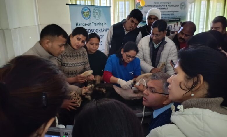 अल्ट्रासोनोग्राफी एवं रेडियोलॉजी प्रशिक्षण का सफल समापन, पशु स्वास्थ्य सेवाओं को मिलेगा नया आयाम