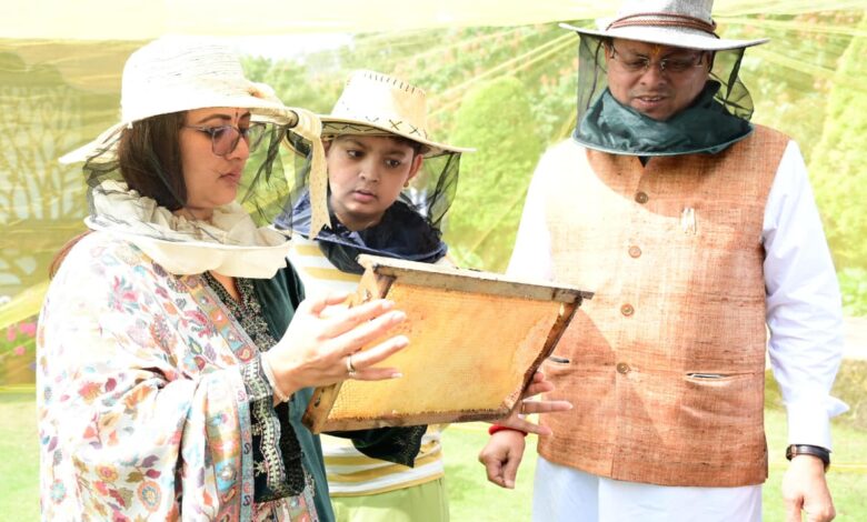 सीएम आवास में किया गया शहद निष्कासन कार्य, पहले चरण में निकाला 60 किलाग्राम शहद