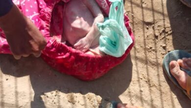 गंगनहर में भू्रण मिलने से सनसनी गंगनहर में भू्रण मिलने से सनसनी