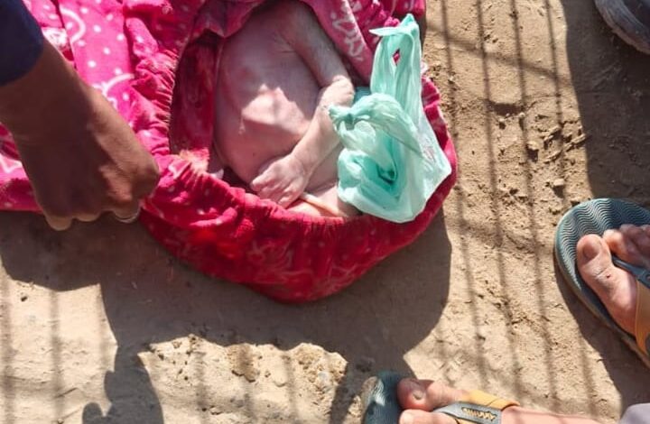 गंगनहर में भू्रण मिलने से सनसनी गंगनहर में भू्रण मिलने से सनसनी