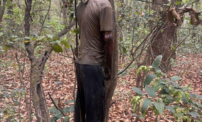 कुआंवाला के जंगल में पेड़ से लटका मिला शव, सनसनी कुआंवाला के जंगल में पेड़ से लटका मिला शव, सनसनी