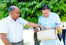 सीएम आवास में 45 दिनों की अवधि में 520 किलोग्राम शहद का उत्पादन