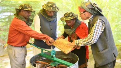 कृषि मंत्री गणेश जोशी ने अपने शासकीय आवास में निकाला शहद, 30 बक्सों से निकला 60 किलोग्राम से अधिक शहद