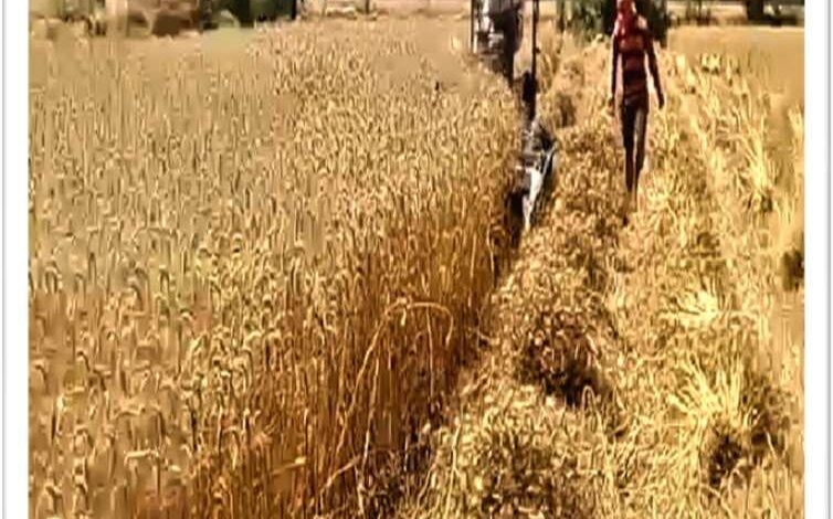 आधुनिक कृषि यंत्रों ने बदली किसान बेनी सिंह की तकदीर आधुनिक कृषि यंत्रों ने बदली किसान बेनी सिंह की तकदीर