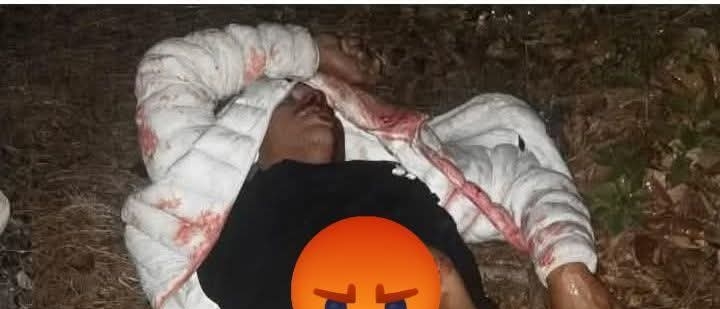 थार में उठाकर युवक को मारने की कोशिश! बदरीनाथ हाईवे पर अधमरी हालत में फेंका, पुलिस पर उठे सवाल