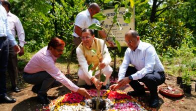 मुख्यमंत्री आवास परिसर में 3-बी गार्डन (बी-फ्रेंडली, बटरफ्लाई-फ्रेंडली एवं बर्ड-फ्रेंडली गार्डन) के निर्माण कार्य का शुभारम्भ
