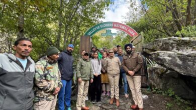 इंतजार खत्म! पर्यटकों के दीदार के लिए खुली विश्व प्रसिद्ध फूलों की घाटी