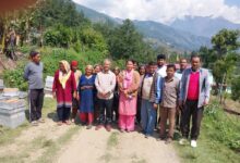 43 किसानों को मिला मधुमक्खी के साथ बाक्स