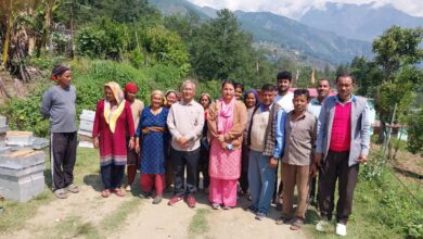 43 किसानों को मिला मधुमक्खी के साथ बाक्स 43 किसानों को मिला मधुमक्खी के साथ बाक्स