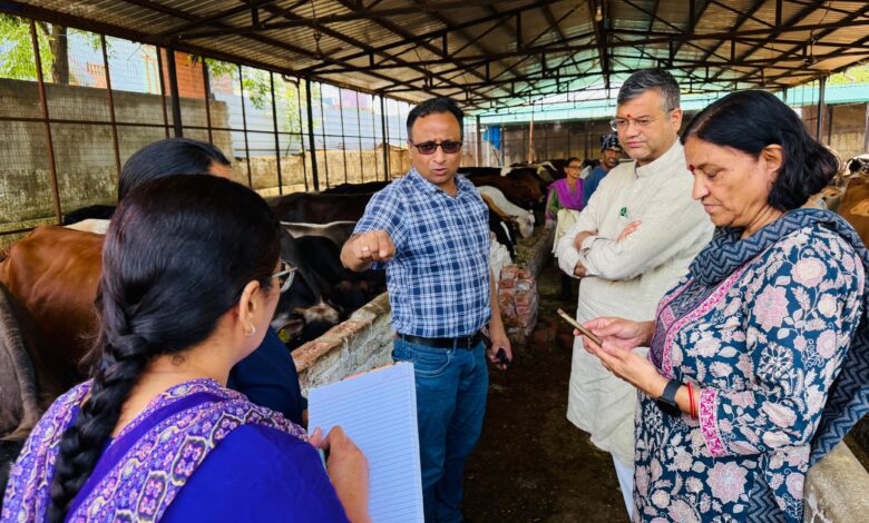 मेयर सौरभ थपलियाल ने केदारपुर गौशाला का किया औचक निरीक्षण, पशुओं के लिए कूलर लगाने के दिए निर्देश मेयर सौरभ थपलियाल ने केदारपुर गौशाला का किया औचक निरीक्षण, पशुओं के लिए कूलर लगाने के दिए निर्देश