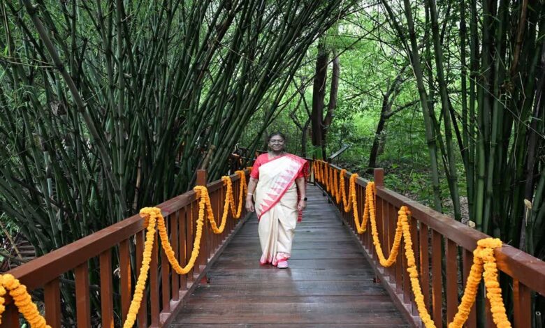 राष्ट्रपति मुर्मू ने अपने ड्रीम प्रोजेक्ट का किया निरीक्षण राष्ट्रपति मुर्मू ने अपने ड्रीम प्रोजेक्ट का किया निरीक्षण