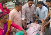 महिला पर बाघ ने किया हमला, बुरी तरह जख्मी महिला पर बाघ ने किया हमला, बुरी तरह जख्मी