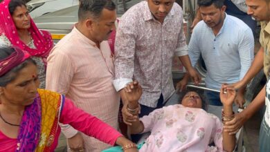 महिला पर बाघ ने किया हमला, बुरी तरह जख्मी महिला पर बाघ ने किया हमला, बुरी तरह जख्मी