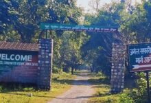 झिलमिल झील सफारी में पर्यटकों और चालक से अभद्रता, मारपीट झिलमिल झील सफारी में पर्यटकों और चालक से अभद्रता, मारपीट