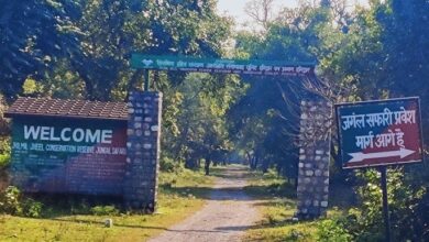 झिलमिल झील सफारी में पर्यटकों और चालक से अभद्रता, मारपीट झिलमिल झील सफारी में पर्यटकों और चालक से अभद्रता, मारपीट