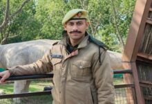 वनाग्नि बुझाते समय वन बीट अधिकारी की खाई में गिरकर मौत वनाग्नि बुझाते समय वन बीट अधिकारी की खाई में गिरकर मौत