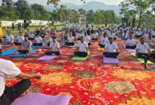 योग की छांव में विकास का संकल्प, एमडीडीए सिटी फॉरेस्ट पार्क बना स्वास्थ्य और प्रकृति का महाकुंभ योग की छांव में विकास का संकल्प, एमडीडीए सिटी फॉरेस्ट पार्क बना स्वास्थ्य और प्रकृति का महाकुंभ