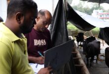 नगर आयुक्त के निर्देश पर नवादा क्षेत्र में 1.51 लाख से अधिक के चालान, पशुपालकों के विरुद्ध कार्रवाई