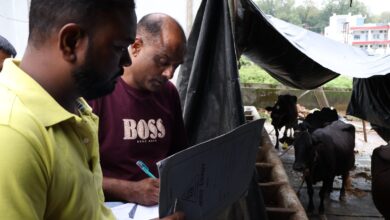 नगर आयुक्त के निर्देश पर नवादा क्षेत्र में 1.51 लाख से अधिक के चालान, पशुपालकों के विरुद्ध कार्रवाई नगर आयुक्त के निर्देश पर नवादा क्षेत्र में 1.51 लाख से अधिक के चालान, पशुपालकों के विरुद्ध कार्रवाई