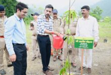 हरेला पर्व पर हरियाली का संकल्प: जिलाधिकारी डॉ0 आशीष चौहान ने किया वृक्षारोपण, कहा— पौधारोपण को बनाएं जन-आंदोलन