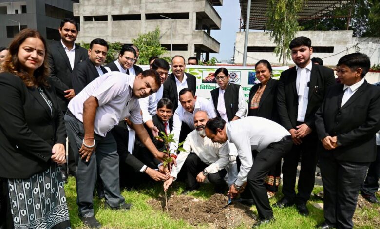 पर्यावरण संरक्षण ही सुरक्षित भविष्य की धरोहर : जिला जज पर्यावरण संरक्षण ही सुरक्षित भविष्य की धरोहर : जिला जज