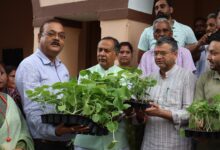 हरेला पर्व पर नगर निगम का हरित संकल्प: महापौर सौरभ थपलियाल एवम नगर आयुक्त महोदय ने किया अभियान का शुभारम्भ, मिशन पोषण संकल्प के तहत लाखों सब्जी पौधों के वितरण की शुरुआत