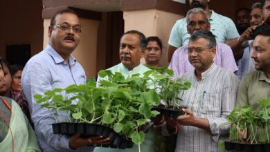 हरेला पर्व पर नगर निगम का हरित संकल्प: महापौर सौरभ थपलियाल एवम नगर आयुक्त महोदय ने किया अभियान का शुभारम्भ, मिशन पोषण संकल्प के तहत लाखों सब्जी पौधों के वितरण की शुरुआत हरेला पर्व पर नगर निगम का हरित संकल्प: महापौर सौरभ थपलियाल एवम नगर आयुक्त महोदय ने किया अभियान का शुभारम्भ, मिशन पोषण संकल्प के तहत लाखों सब्जी पौधों के वितरण की शुरुआत