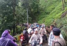 हल्द्वानी, बलदियाखान मार्ग पर चीड़ का पेड़ गिरने से मार्ग हुआ अवरुद्ध, आयुक्त ने तत्काल पूरी टीम को बुलाकर मार्ग को खुलवाया हल्द्वानी, बलदियाखान मार्ग पर चीड़ का पेड़ गिरने से मार्ग हुआ अवरुद्ध, आयुक्त ने तत्काल पूरी टीम को बुलाकर मार्ग को खुलवाया